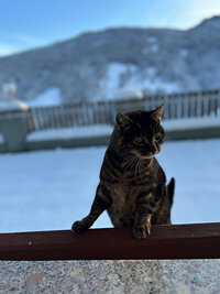 4_IMG_0000_winter_5_IMG_3171